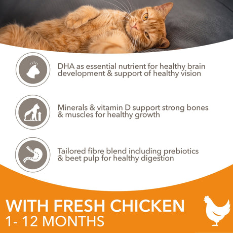 IAMS Kitten Dry Food with Fresh Chicken - 2 x 2kg, IAMS,