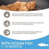 IAMS Kitten Dry Food with Ocean Fish - 2 x 2kg, IAMS,