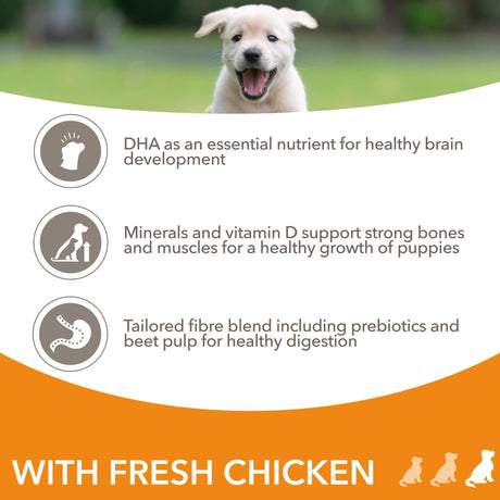 IAMS Puppy Large Breed Fresh Chicken Dry Dog Food, IAMS, 12 kg