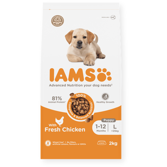 IAMS Puppy Large Breed Fresh Chicken Dry Dog Food, IAMS, 2 x 2 kg