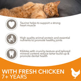 IAMS Senior Cat Dry Food with Fresh Chicken - 2 x 2kg, IAMS,