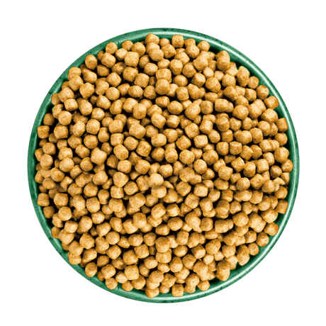 James Wellbeloved Senior Turkey & Rice Dry Cat Food, James Wellbeloved, 10 kg