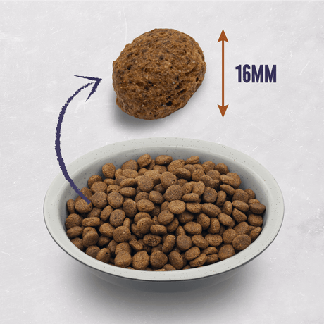 Alpha Adult Grain Free with Chicken, Potato & Veg Dry Dog Food - 15 kg