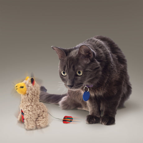 Kong Cat Softies Buzzy Llama Toy, Kong,