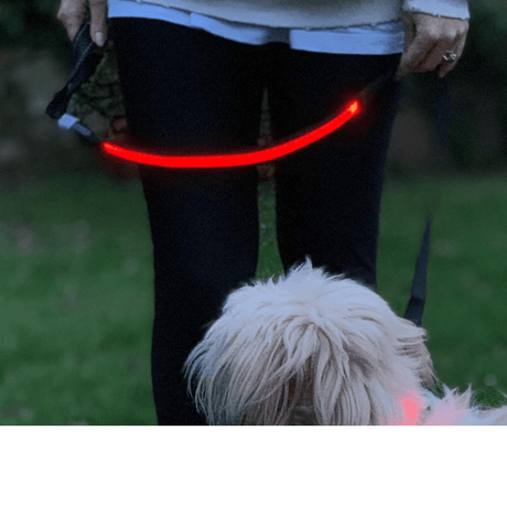 Lilly & Jake LED Dog Lead Red, Lilly & Jake,
