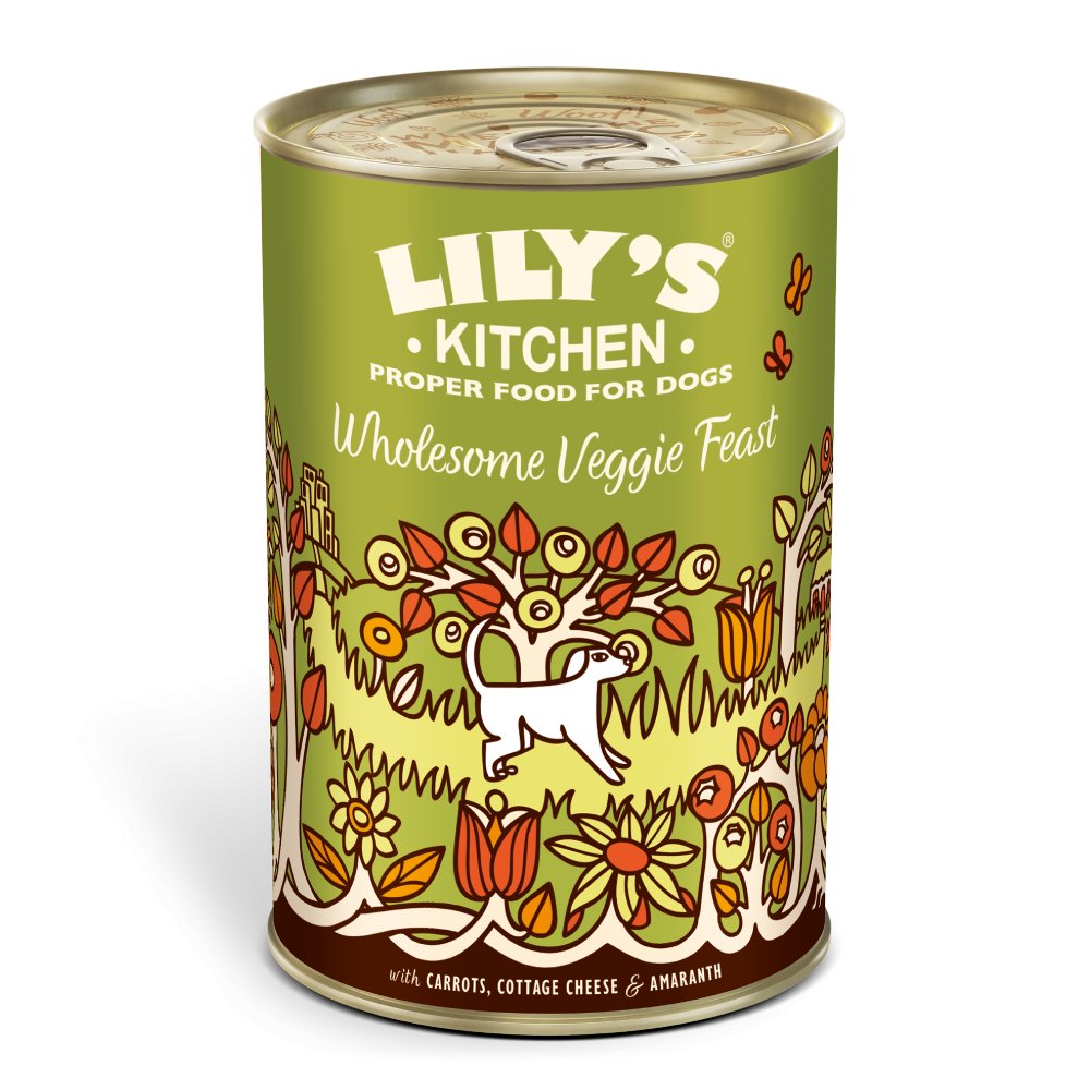 Lily's Kitchen Wholesome Veggie Feast - 6 x 375g Cans, Lily's Kitchen,