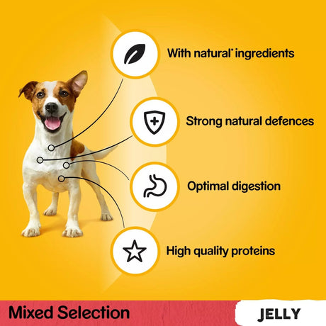 Pedigree Adult Wet Dog Food Mixed Selection in Jelly - 40 x 100g Mega Pack, Pedigree,