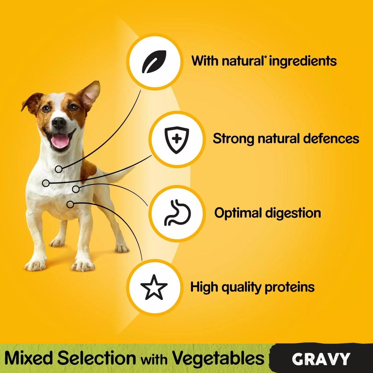 Pedigree Adult Wet Dog Food Pouches Mixed Selection in Gravy - 48 x 100g, Pedigree,