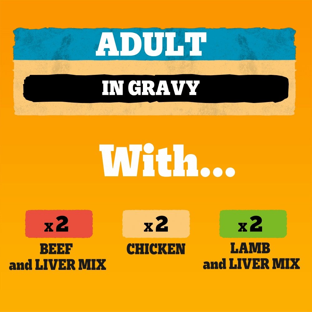 Pedigree Adult Wet Dog Food Tins Mixed Selection in Gravy - 24 x 400g, Pedigree,