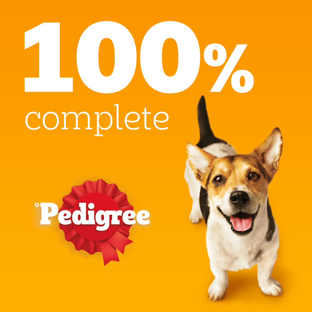 Pedigree Complete Adult Small Dog Dry Food with Poultry and Veg - 3x3kg, Pedigree,