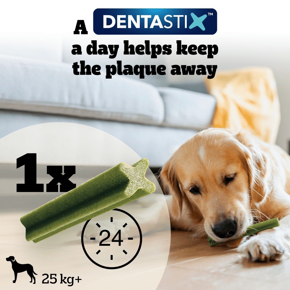 Pedigree Dentastix Fresh for Large Dogs Daily Dental Chew Treat, Pedigree, 84 Sticks