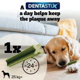 Pedigree Dentastix Fresh for Large Dogs Daily Dental Chew Treat, Pedigree, 84 Sticks