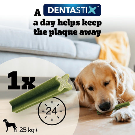 Pedigree Dentastix Fresh for Large Dogs Daily Dental Chew Treat, Pedigree, 84 Sticks