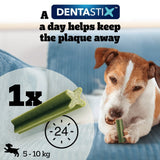 Pedigree Dentastix Fresh for Small Dogs Daily Dental Chew Treat, Pedigree, 140 Sticks