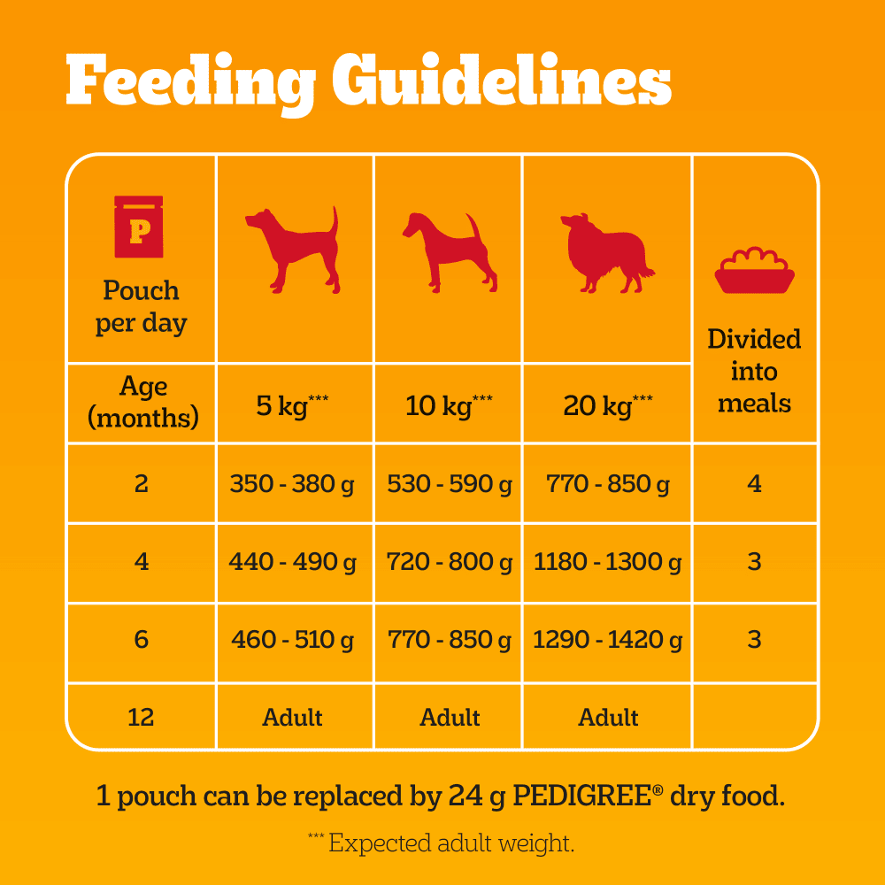 Pedigree Junior/Puppy Wet Dog Food Pouches Mixed in Jelly - 48 x 100g, Pedigree,