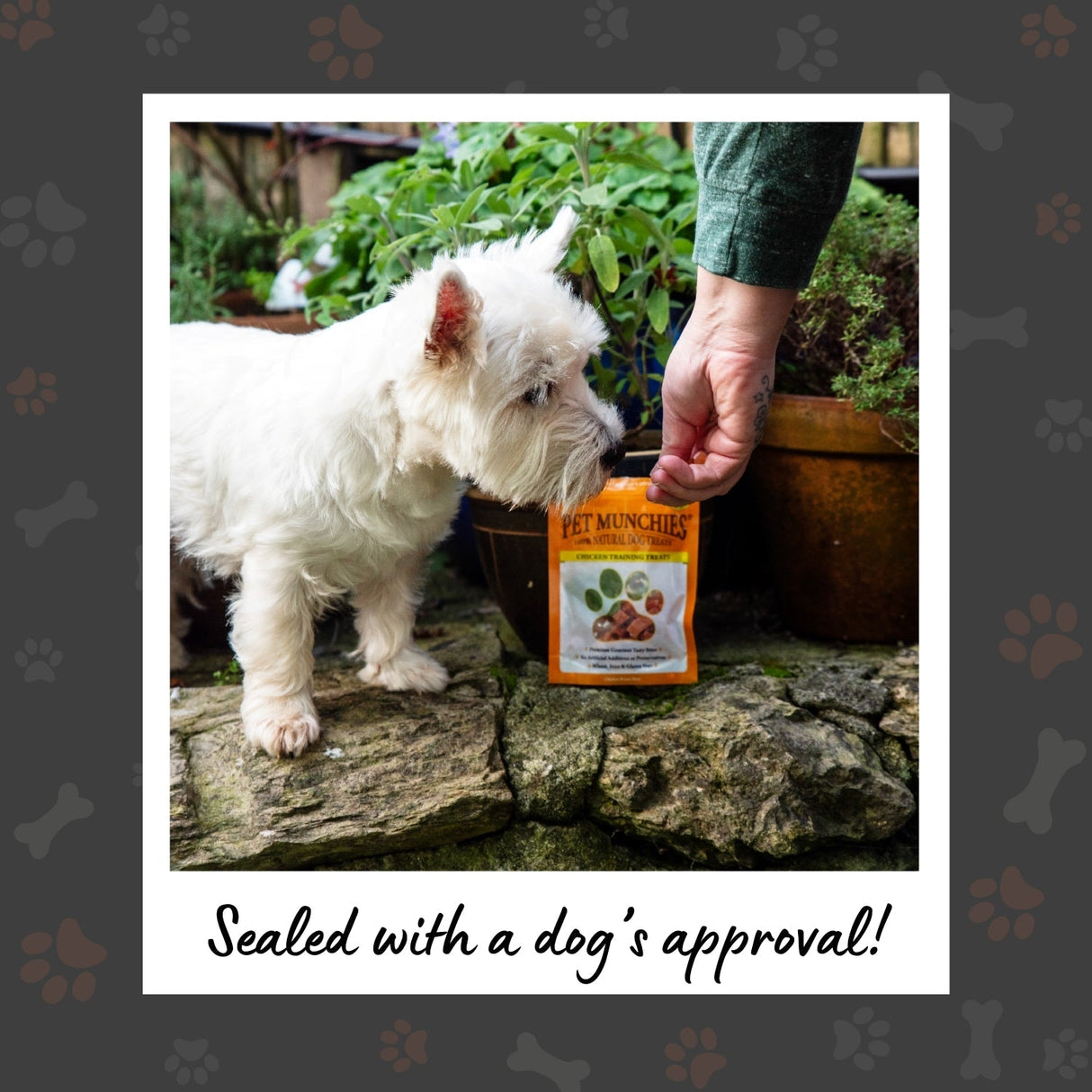 Pet Munchies Chicken Dog Training Treats, Pet Munchies, 8 x 150g