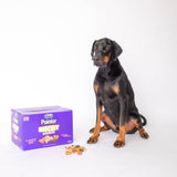 Pointer Biscuit Selection 10 kg Box, Pointer,