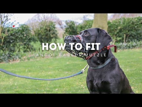 Ancol Basket Dog Muzzle