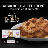 Pro Plan Adult Delicate Digestion with Turkey in Gravy Wet Cat Food - 4 Pack, Pro Plan, 4x (10x85g)