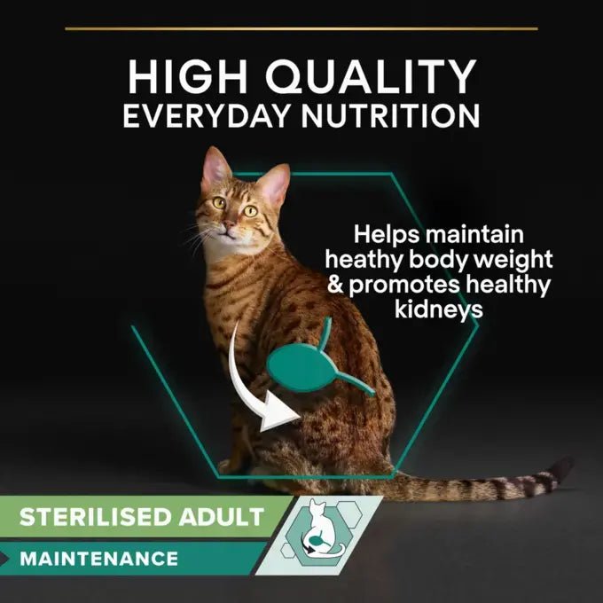 Pro Plan Adult Sterilised Maintenance Terrine with Cod Wet Cat Food - 4 Pack, Pro Plan, 4x (10x75g)