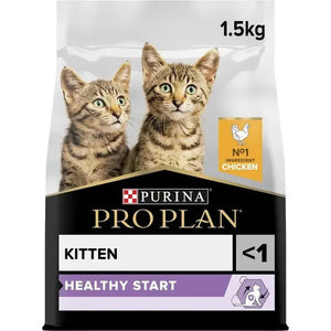 Dry Kitten Food