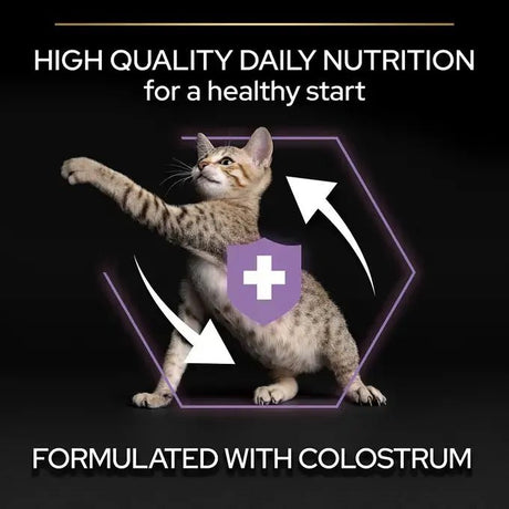 Pro Plan Kitten Healthy Start Chicken Dry Cat Food, Pro Plan, 3 kg