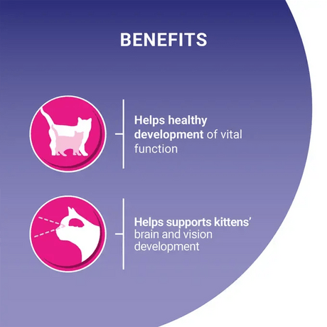 PURINA ONE Kitten Chicken Dry Cat Food, Purina One, 4 x 750g