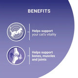 PURINA ONE Mini Fillets Ocean Fish and Lamb Wet Cat Food - 40 x 85g, Purina One,