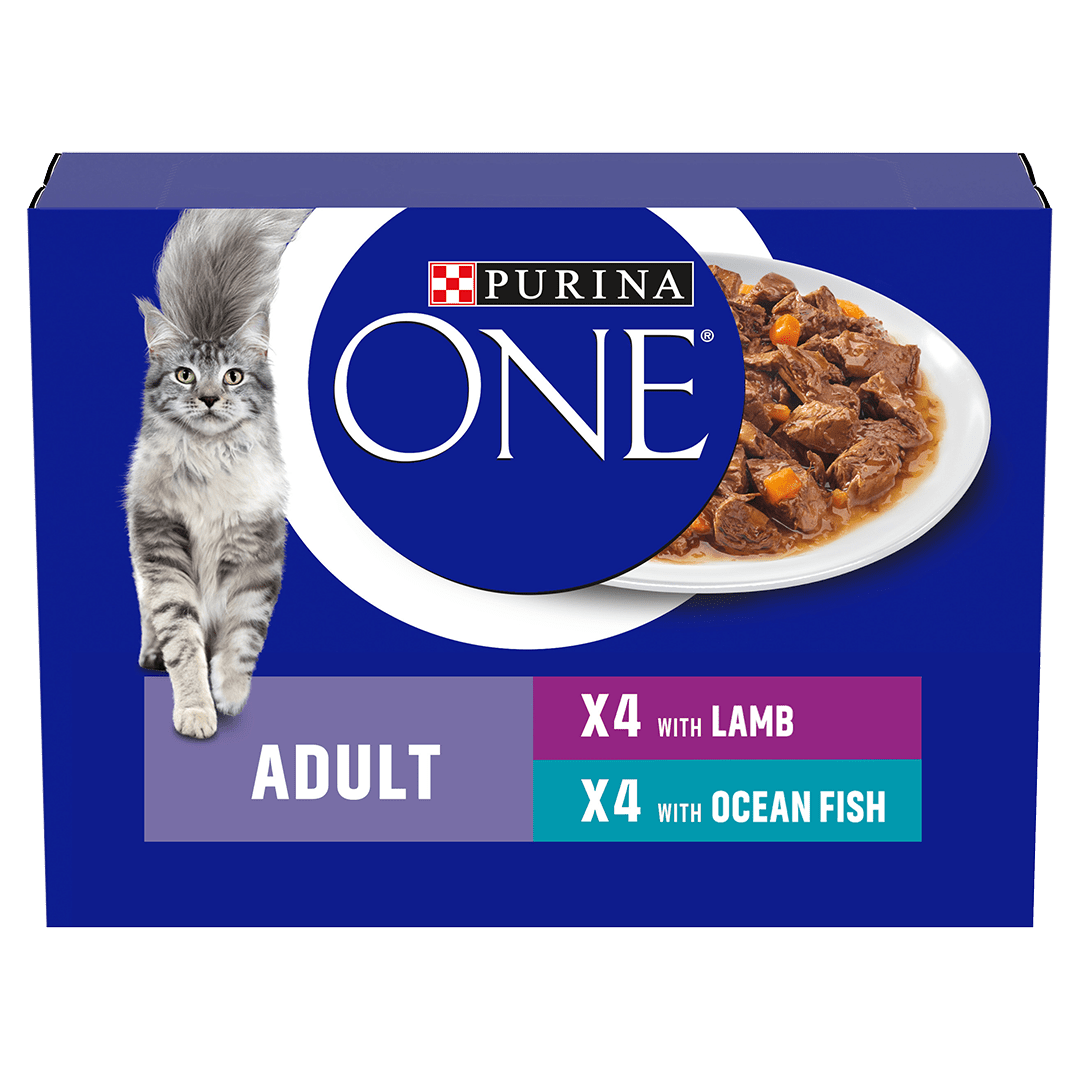 PURINA ONE Mini Fillets Ocean Fish and Lamb Wet Cat Food - 40 x 85g, Purina One,
