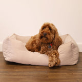 Rosewood 40 Winks Cord Square Dog Bed - Beige, Rosewood, Large