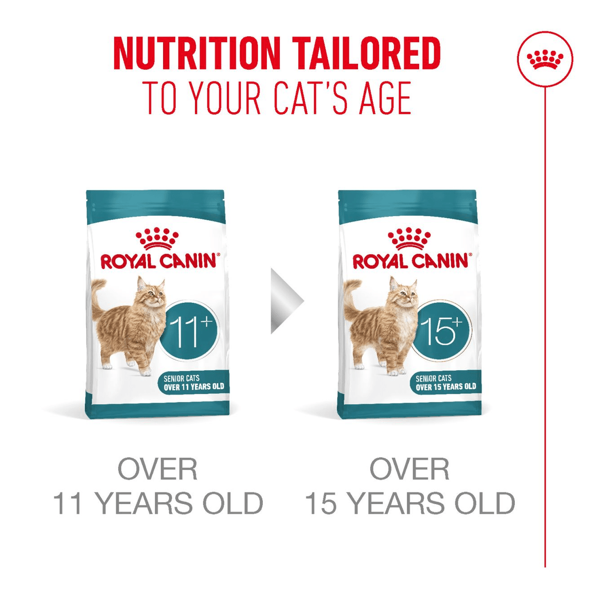 Royal Canin Ageing 11+ Dry Senior Cat Food, Royal Canin, 400 g