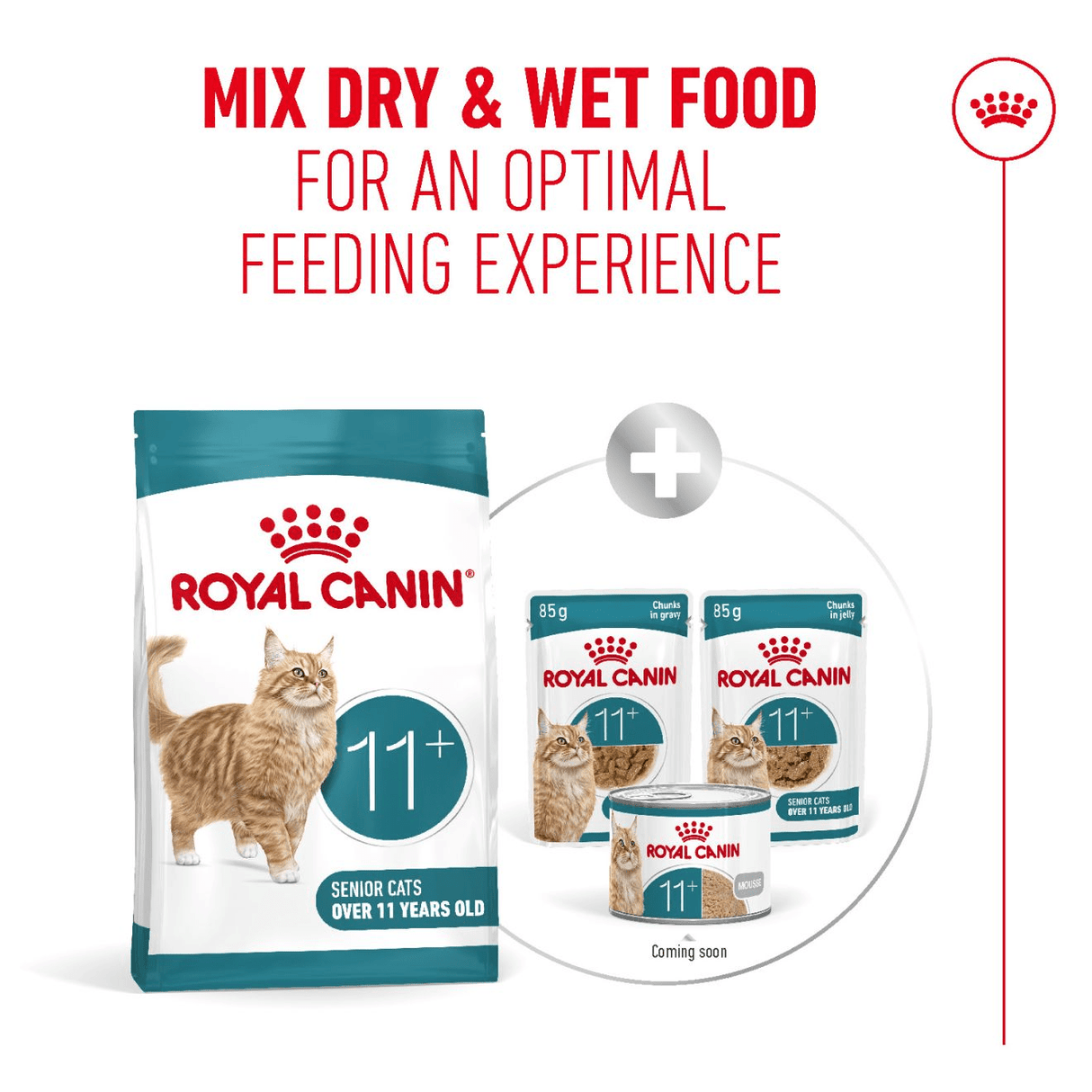 Royal Canin Ageing 11+ Dry Senior Cat Food, Royal Canin, 400 g