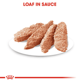Royal Canin Light Weight Care Loaf Wet Dog Food - 12 x 85g, Royal Canin,