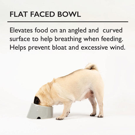 Scruffs Classic Grey Slanted Flat faced Dog Bowl, Scruffs,