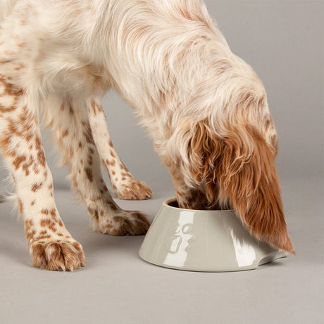 Scruffs Icon Light Grey Long Eared Dog Bowl, Scruffs,