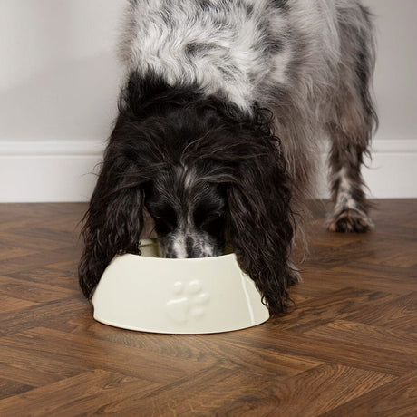 Scruffs Icon Long Eared Dog Food & Water Bowl - Cream, Scruffs,