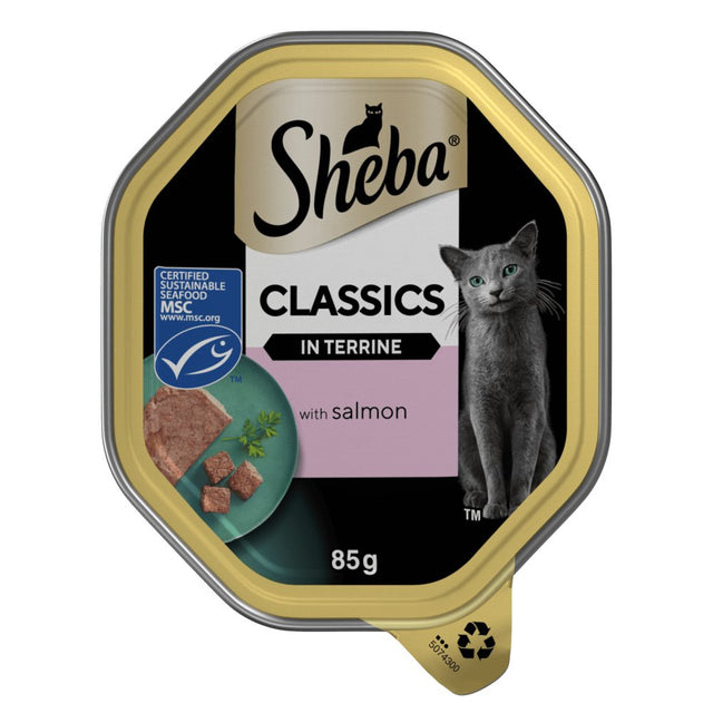 Sheba Classics Adult Cat Food Salmon in Terrine Tray - 22 x 85g, Sheba,