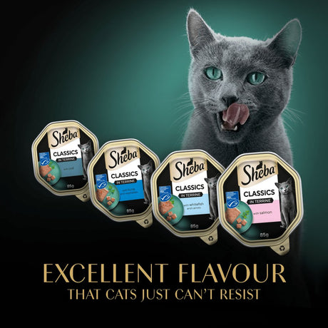 Sheba Classics Ocean Selection in Terrine 32 x 85g Tray Adult Wet Cat Food, Sheba,