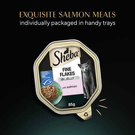 Sheba Fine Flakes with Salmon in Jelly Adult Cat Food - 22 x 85g Trays, Sheba,