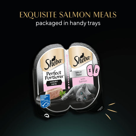 Sheba Perfect Portions Salmon in Pate Adult Wet Cat Food Trays - 8 x (6x37.5g), Sheba,