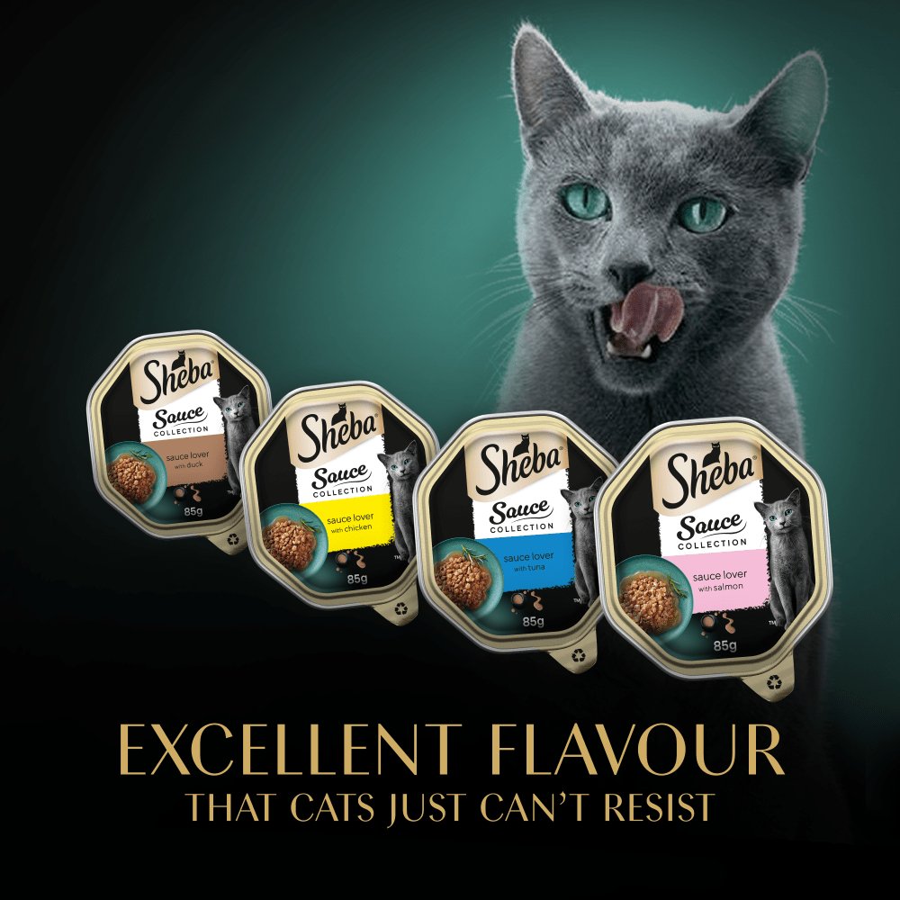 Sheba Sauce Collection Mixed Selection Adult Wet Cat Food, Sheba, 4x (8x85g)