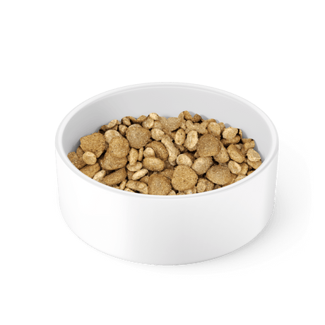 Sneyds Wonderdog Active Light with Joint Care & Herbs Dry Dog Food - 15 kg, Wonderdog,