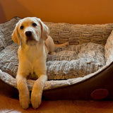 Snug & Cosy Novara Brown Rectangle Dog Bed, Snug & Cosy, S 53.5 cm