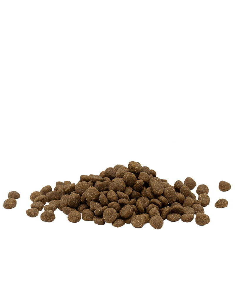 Versele Laga Opti Life Adult Cat Grain Free Chicken Dry Food, Versele Laga, 10 kg