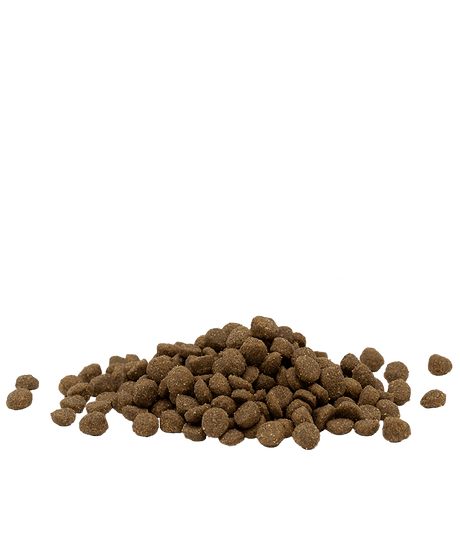 Versele Laga Opti Life Adult Cat Grain Free Chicken Dry Food, Versele Laga, 10 kg