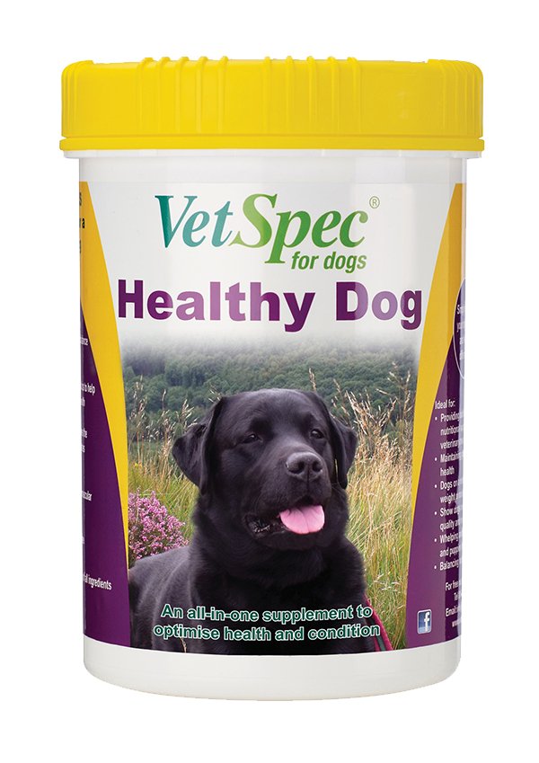 VetSpec Healthy Dog 500g, VetSpec,