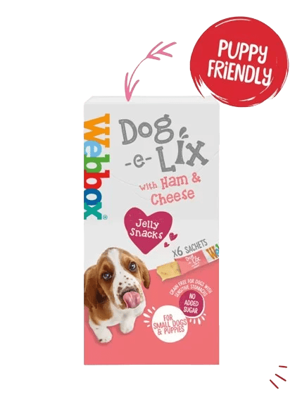 Webbox Dog - e - Lix with Ham & Cheese Creamy Dog Treats - 11 x 90g Boxes, Webbox,