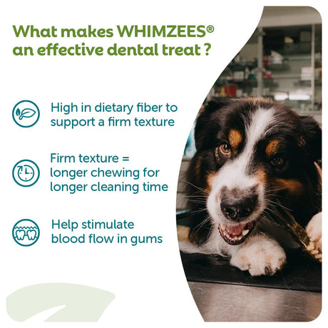 Whimzees Small Alligator Daily Dental Treat For Dogs - 24 pack x 6, Whimzees,