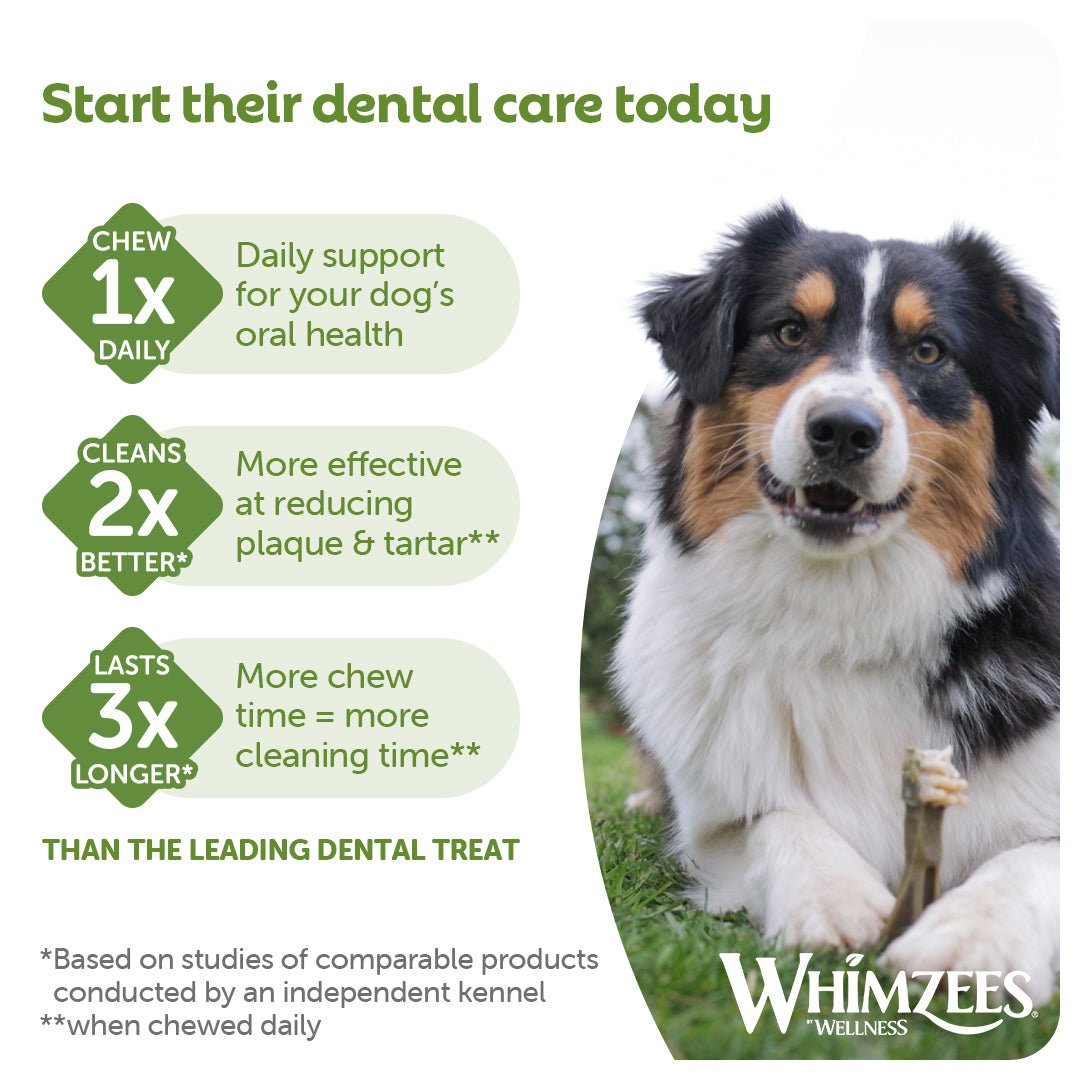 Whimzees Small Alligator Daily Dental Treat For Dogs - 24 pack x 6, Whimzees,