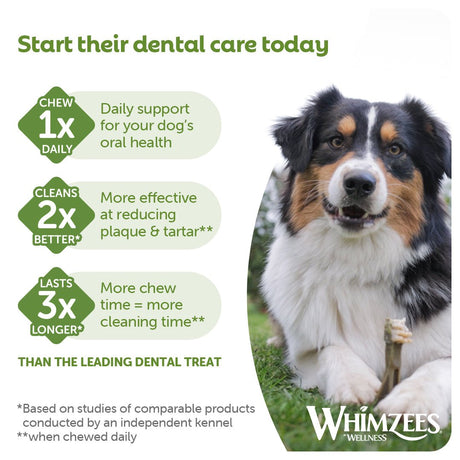 Whimzees Small Alligator Daily Dental Treat For Dogs - 24 pack x 6, Whimzees,